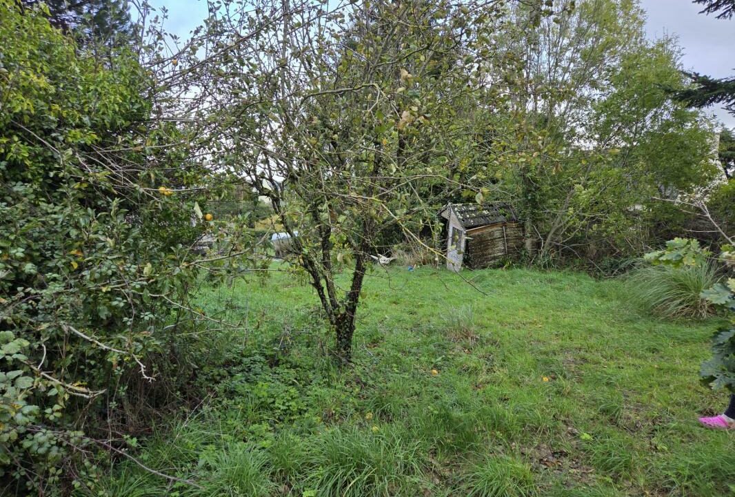 ML-161-30102025-174544-1