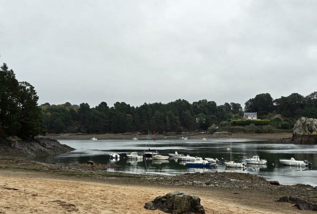 ML-161-30102025-174544