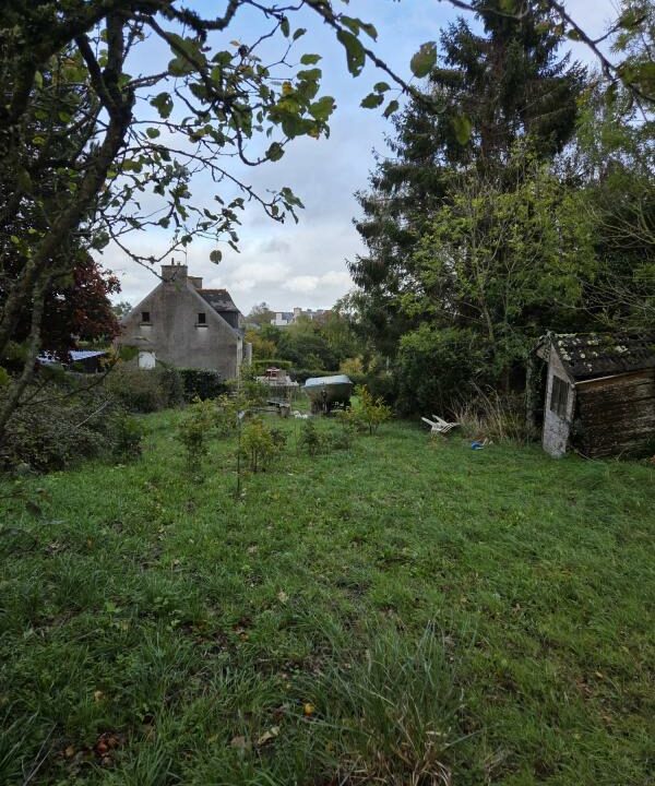 ML-161-30102025-174544-2