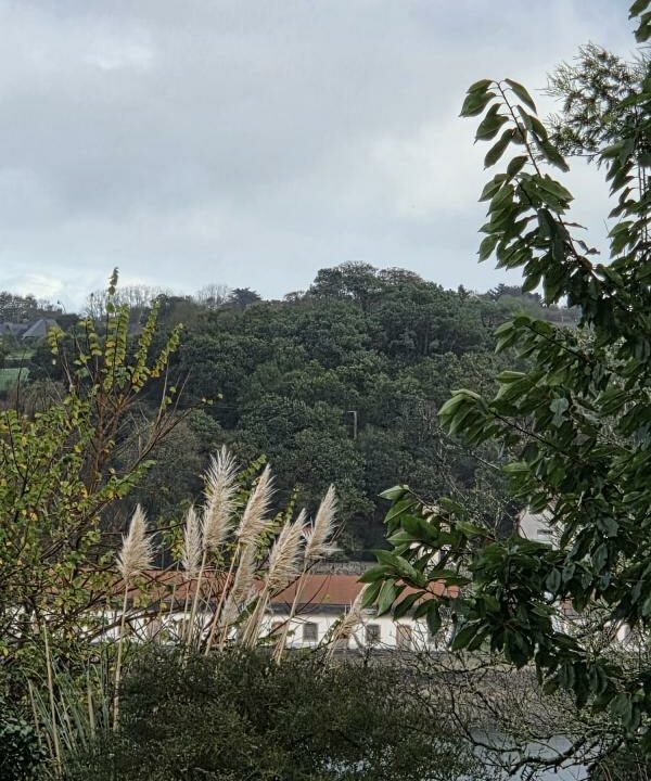 ML-161-30102025-174544-3