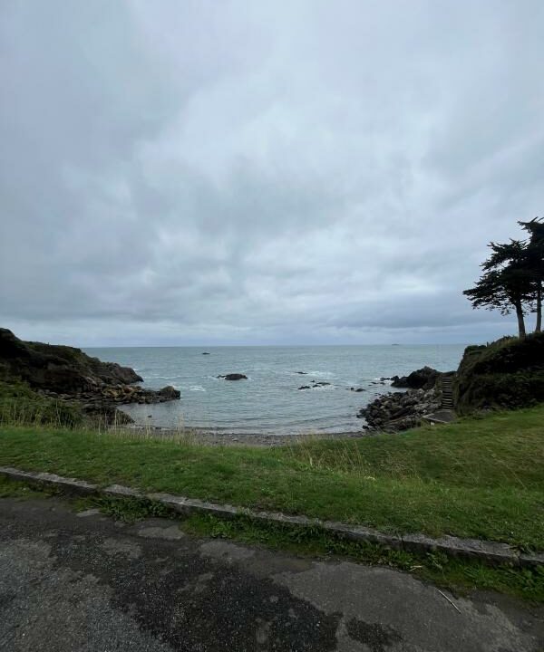 ML-142-31102025-161622