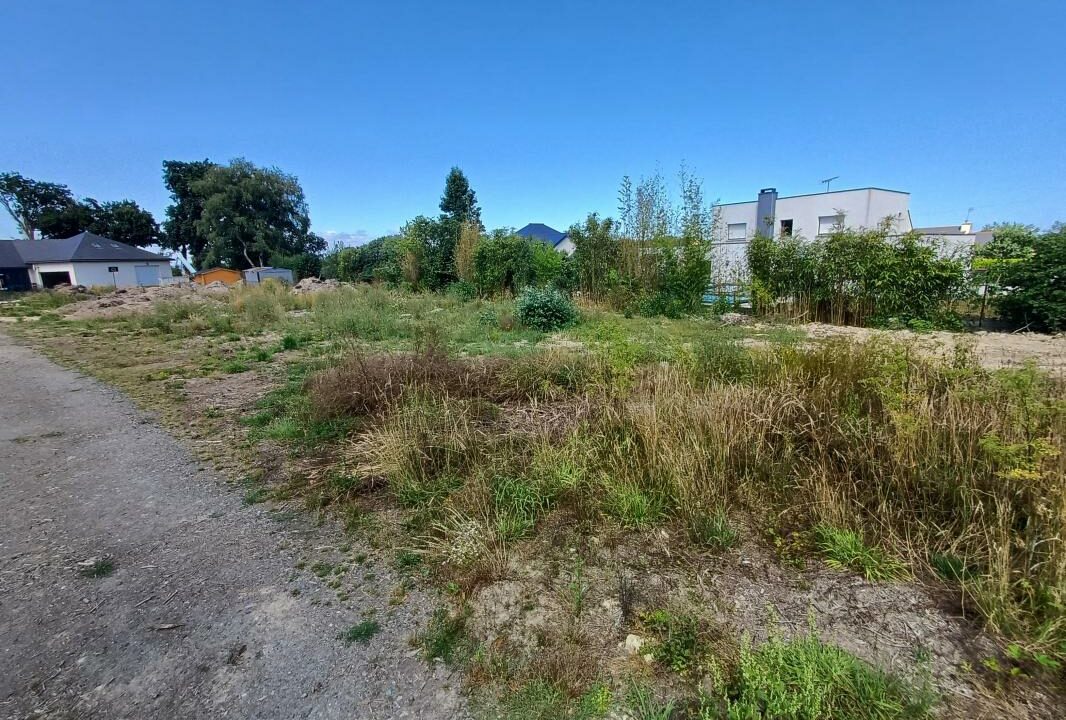 PP-11-06112025-155219-1