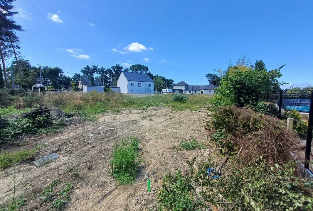 PP-11-06112025-155219