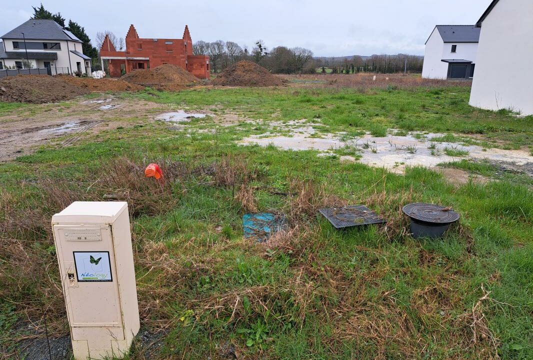 NT-205-13022026-105224