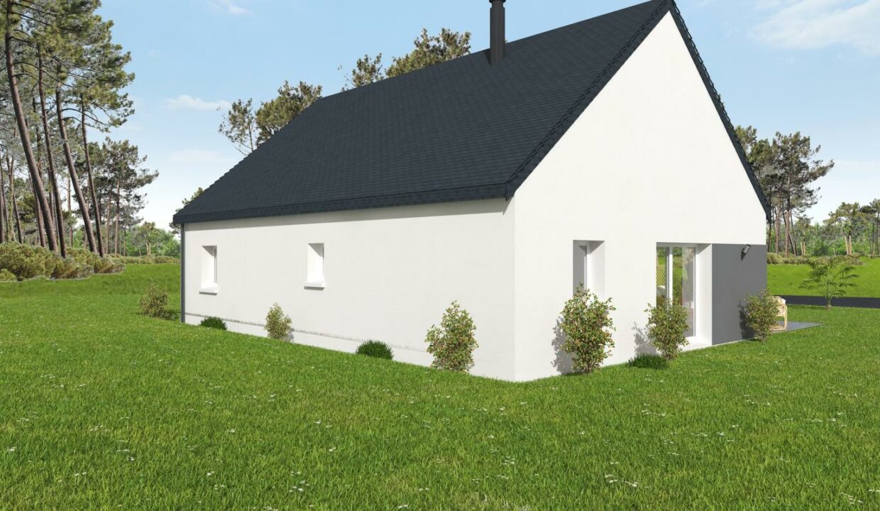 NT-206-13022026-110439-2