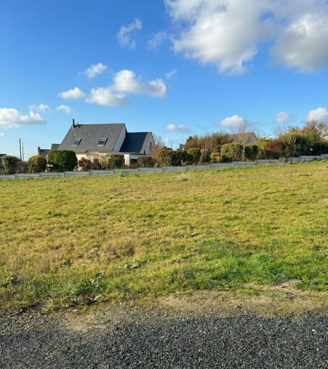 LB-33-02032026-145837