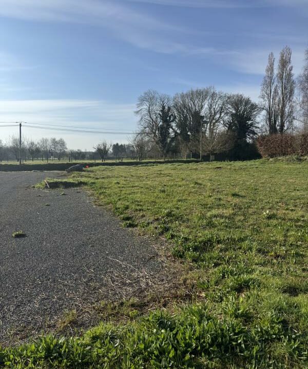 LB-38-04032026-101429-1