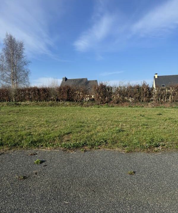 LB-38-04032026-101429