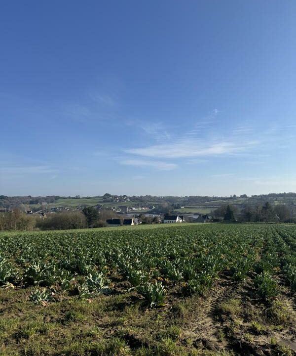 LB-41-04032026-100834