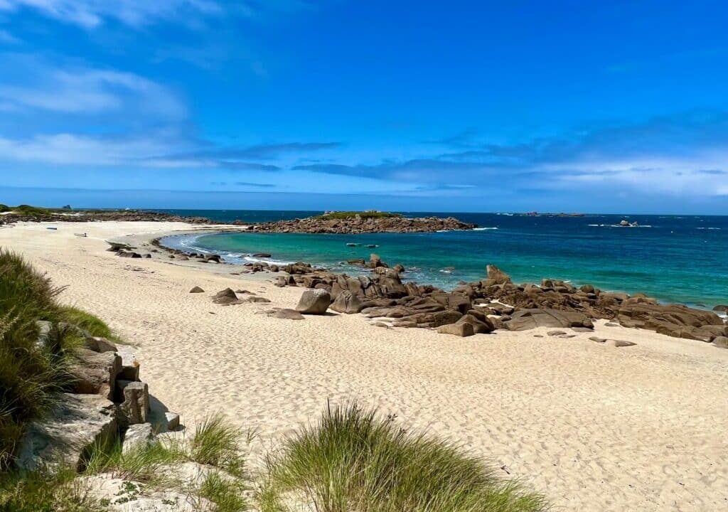 LB-42-06032026-160001-1