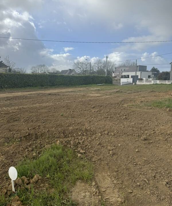 LB-45-26032026-135848-2