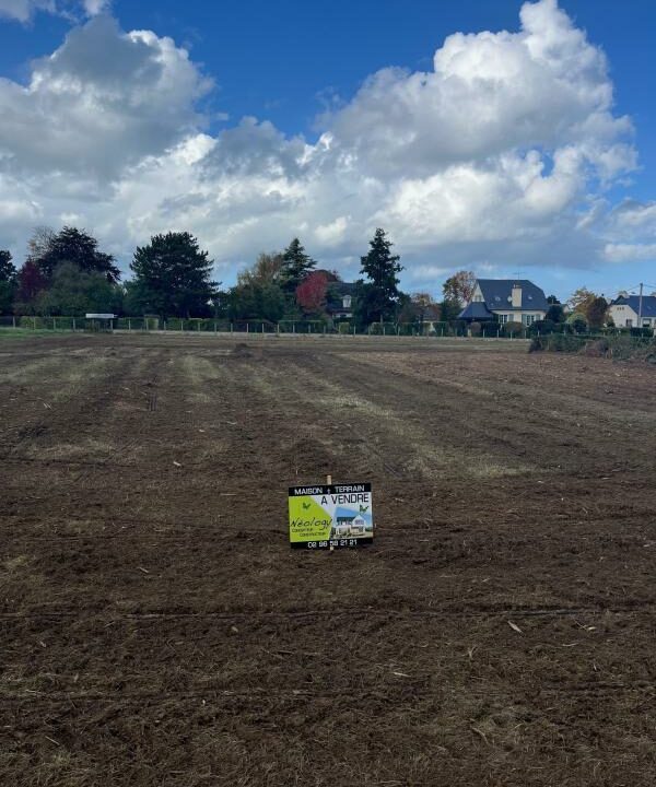 Ml-171-18032026-181537-1