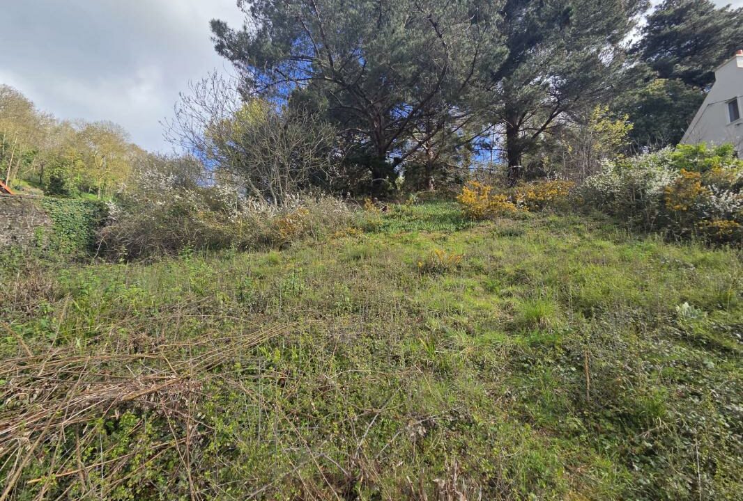 Ml-181-30032026-151900-2