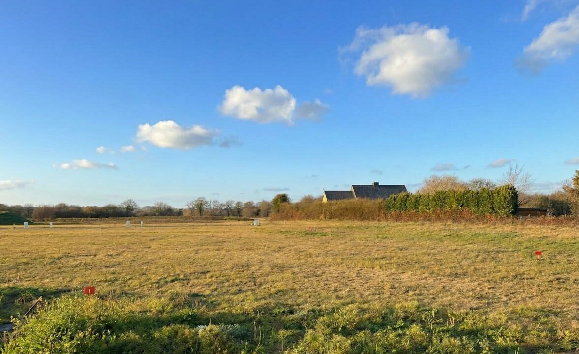 LB-50-08042026-093711-2