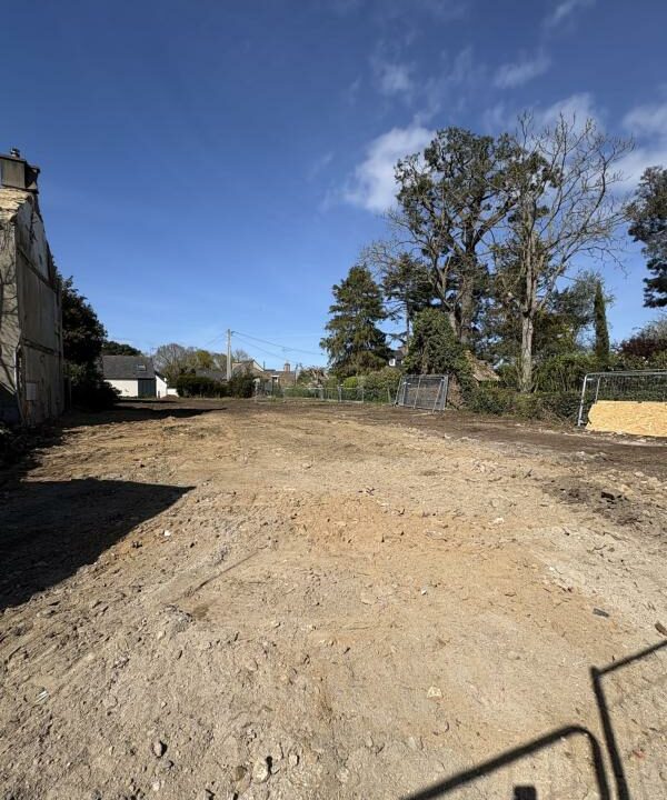 Ml-185-03042026-114915-1